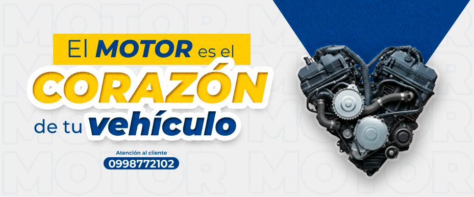 Importadora Alvarado